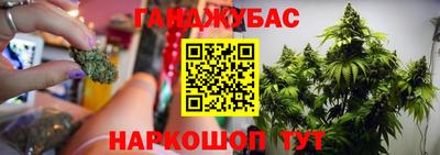 стафф Гусиноозёрск