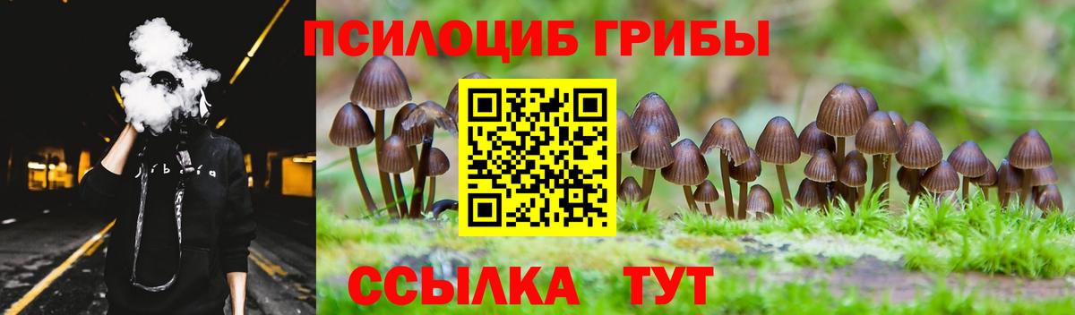 Галлюциногенные грибы Psilocybine cubensis  где можно купить наркотик  Вход с VPN  Екатеринбург  Галлюциногенные грибы Cubensis 